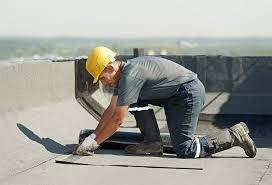 Best Skylight Installation and Repair  in Siesta Acres, TX